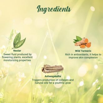 Biotique Morning Nectar Flawless Skin Moisturizer Lotion L Prevents Dark Spots, Blackheads And Blemishes L Visibly Flawless Skin L Nourishes And Hydrates Skin L All Skin Types L 190Ml - Image 3